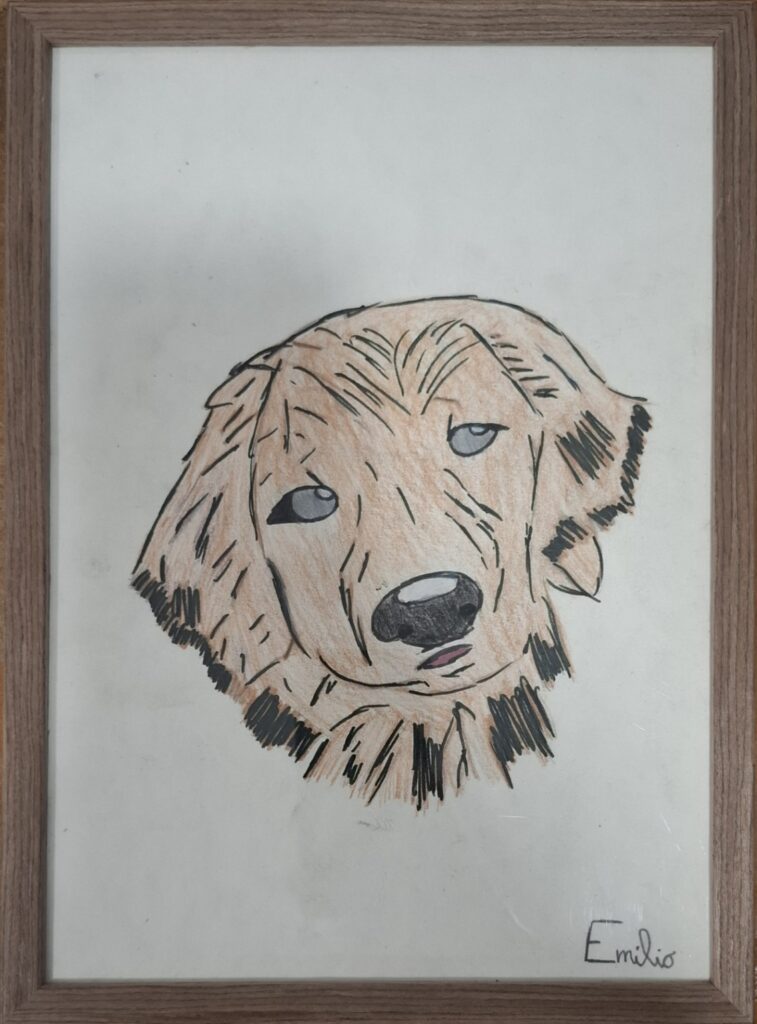 Il cane senza padrone